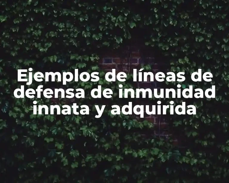 Ejemplos de líneas de defensa de inmunidad innata y adquirida