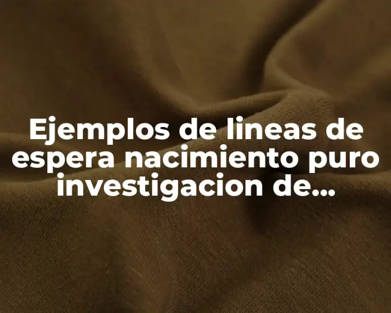 Ejemplos de lineas de espera nacimiento puro investigacion de operaciones