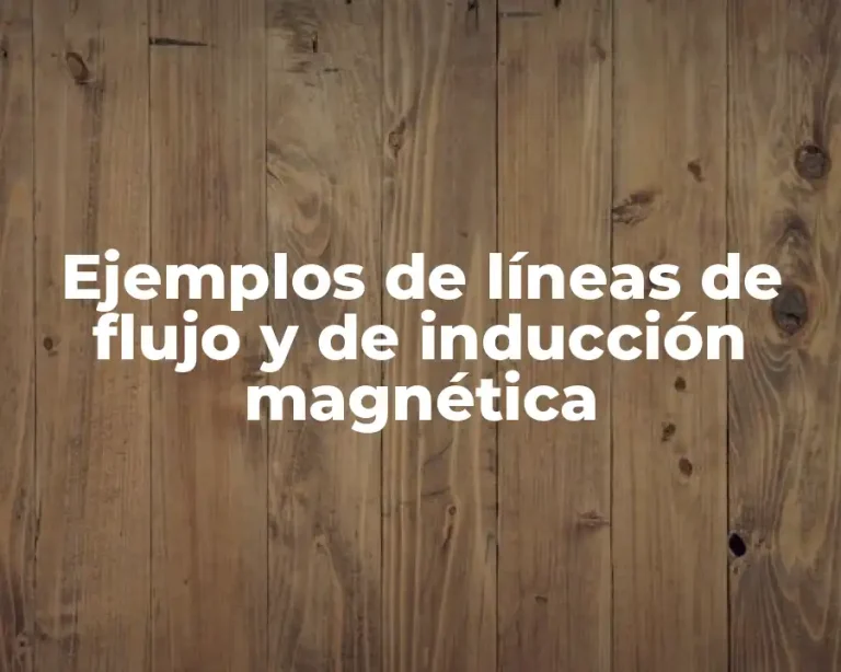 Ejemplos de líneas de flujo y de inducción magnética