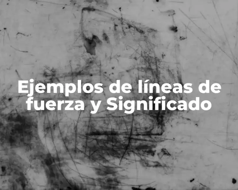 Ejemplos de líneas de fuerza y Significado