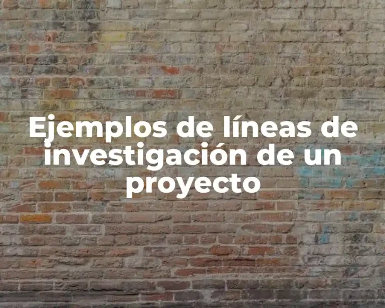 Ejemplos de líneas de investigación de un proyecto