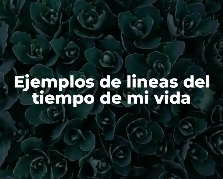 Ejemplos de lineas del tiempo de mi vida