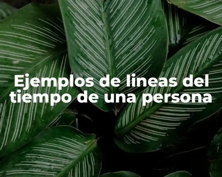 Ejemplos de lineas del tiempo de una persona