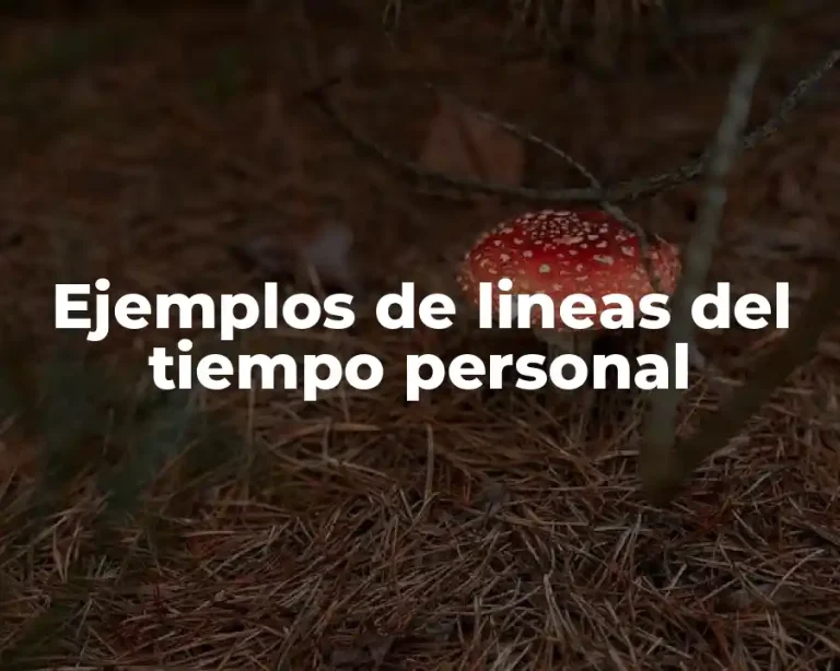 Ejemplos de lineas del tiempo personal