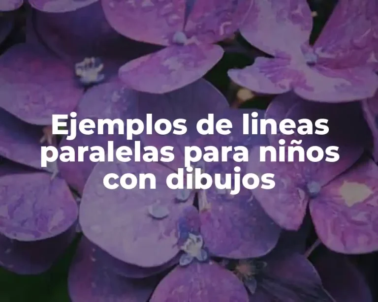 Ejemplos de lineas paralelas para niños con dibujos