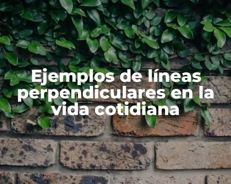 Ejemplos de líneas perpendiculares en la vida cotidiana