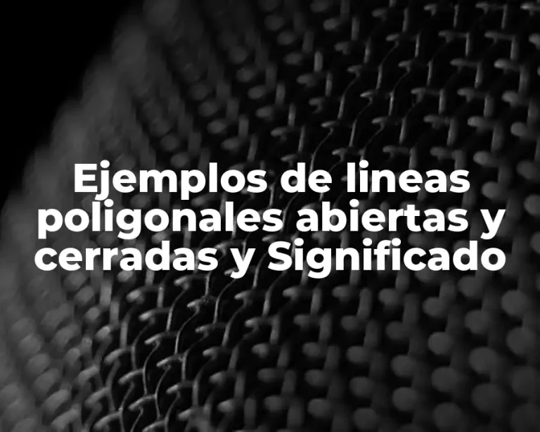 Ejemplos de lineas poligonales abiertas y cerradas y Significado