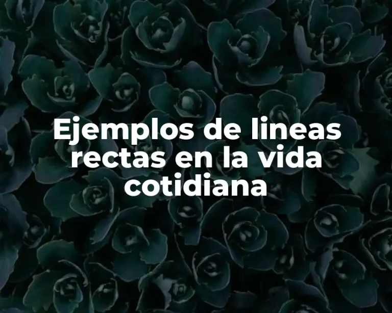 Ejemplos de lineas rectas en la vida cotidiana
