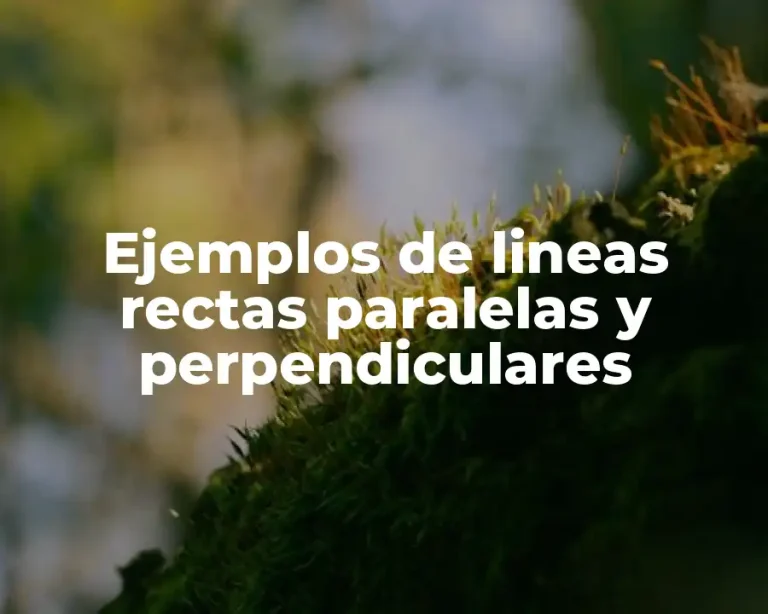Ejemplos de lineas rectas paralelas y perpendiculares