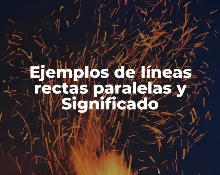 Ejemplos de líneas rectas paralelas y Significado