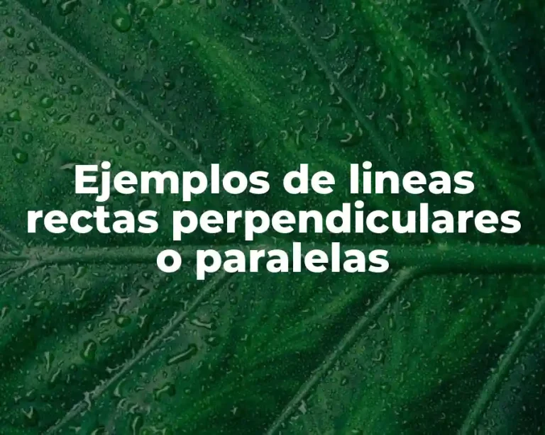 Ejemplos de lineas rectas perpendiculares o paralelas