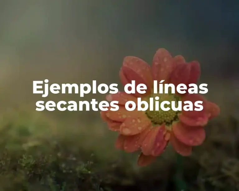 Ejemplos de líneas secantes oblicuas