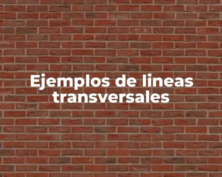 Ejemplos de lineas transversales