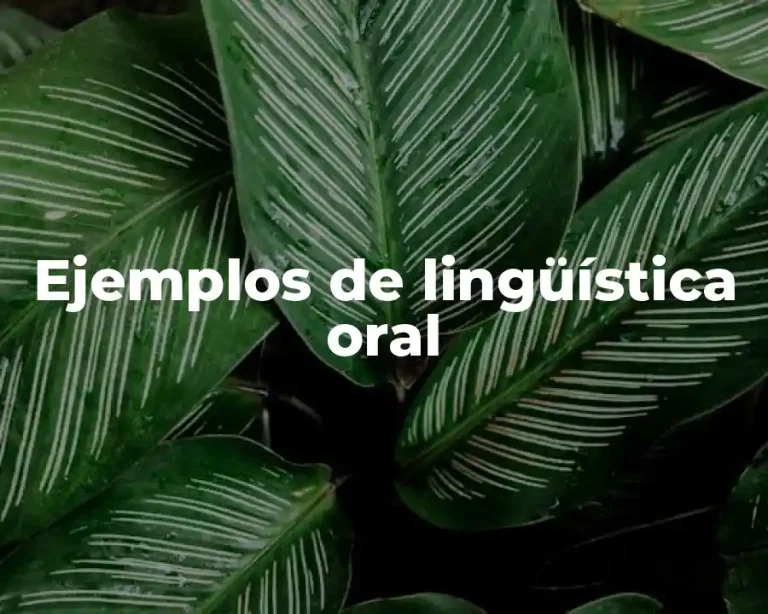 Ejemplos de lingüística oral