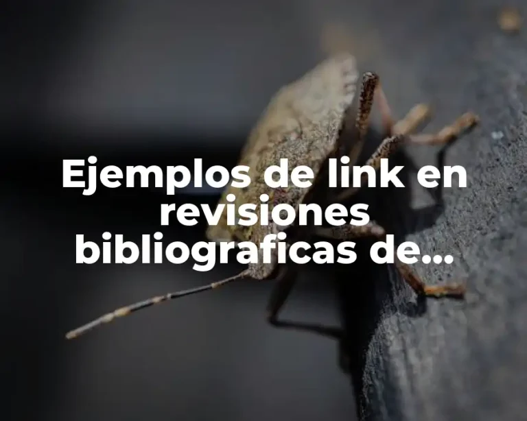 Ejemplos de link en revisiones bibliograficas de amazon y Significado