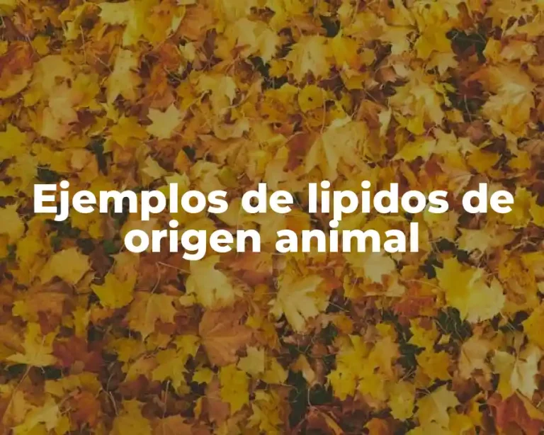 Ejemplos de lipidos de origen animal