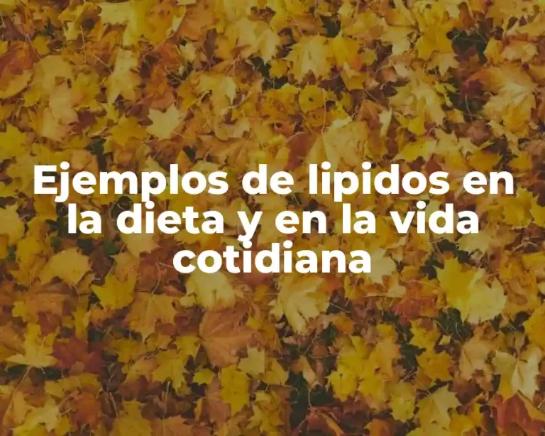 Ejemplos de lipidos en la dieta y en la vida cotidiana