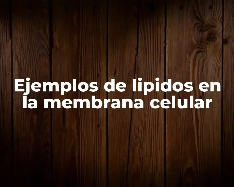 Ejemplos de lipidos en la membrana celular