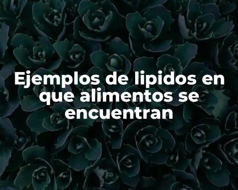 Ejemplos de lipidos en que alimentos se encuentran