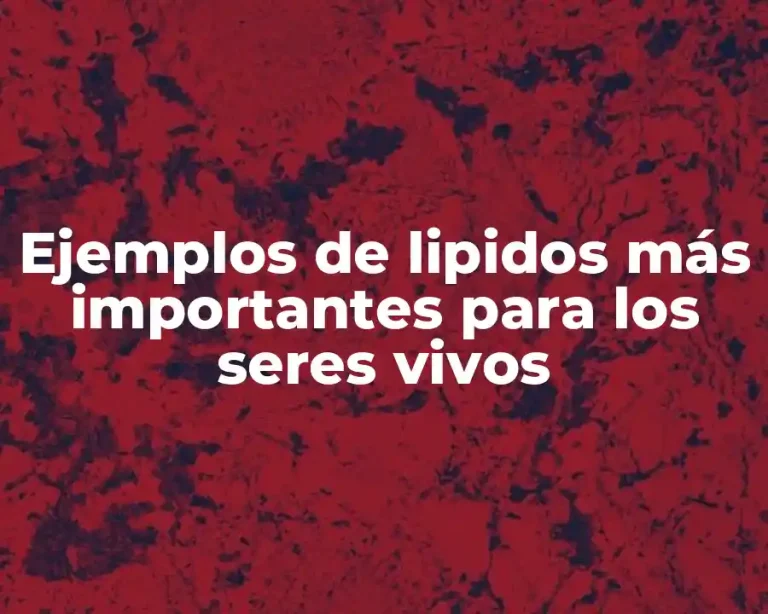 Ejemplos de lipidos más importantes para los seres vivos