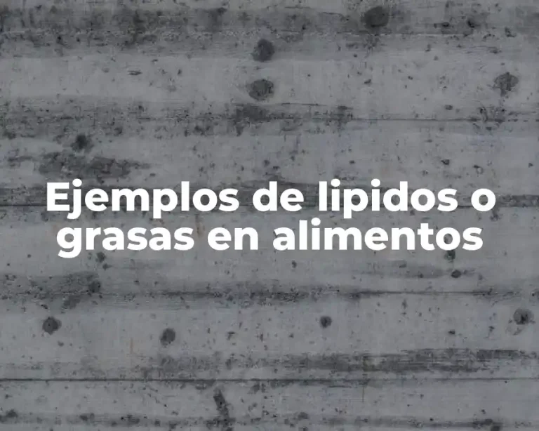 Ejemplos de lipidos o grasas en alimentos