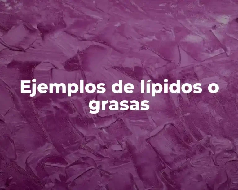 Ejemplos de lípidos o grasas