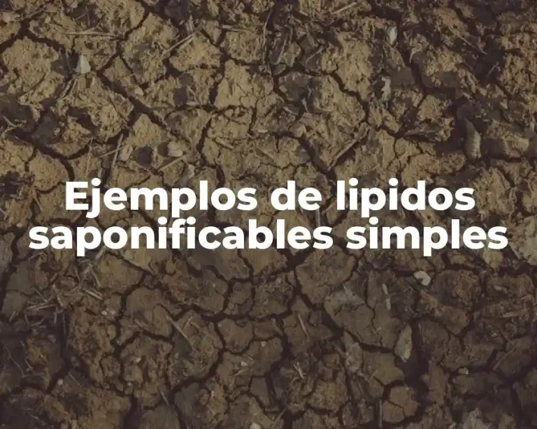 Ejemplos de lipidos saponificables simples