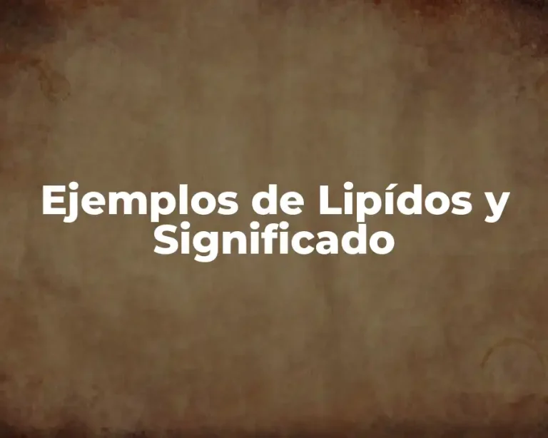 Ejemplos de Lipídos y Significado