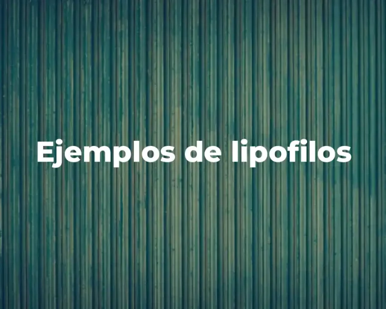 Ejemplos de lipofilos