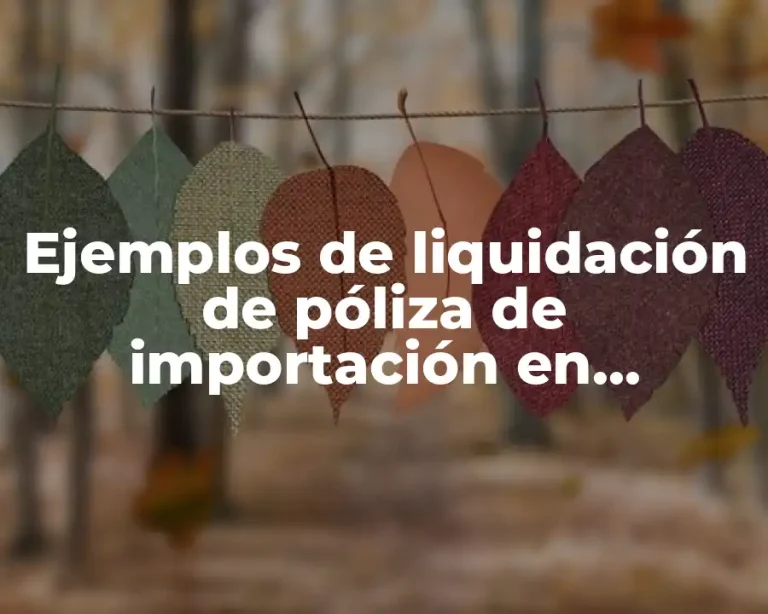 Ejemplos de liquidación de póliza de importación en Nicaragua