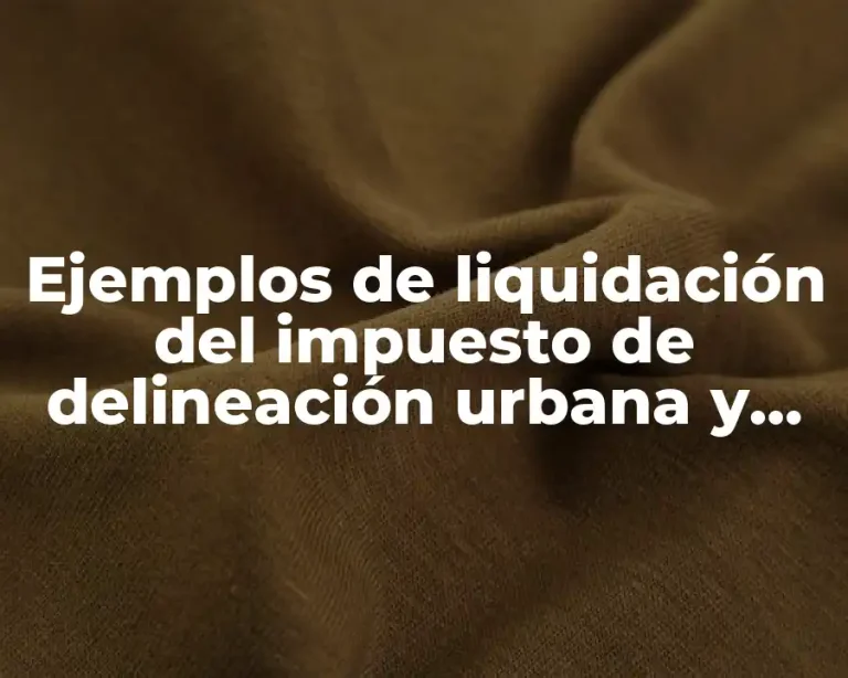 Ejemplos de liquidación del impuesto de delineación urbana y Significado
