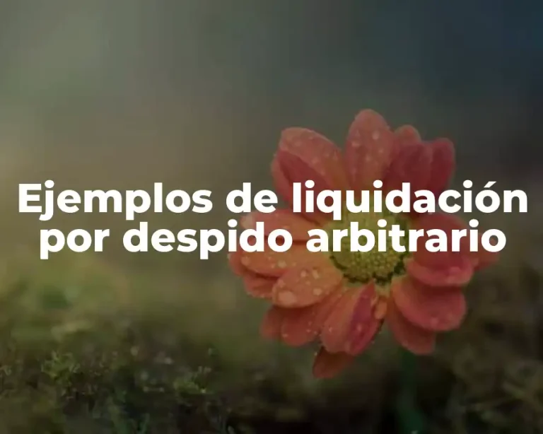Ejemplos de liquidación por despido arbitrario