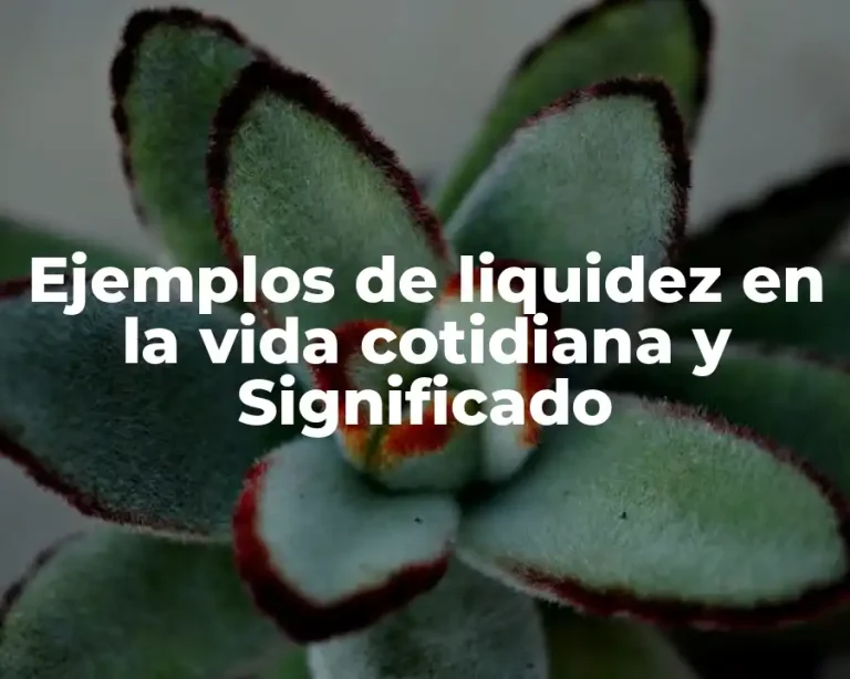 Ejemplos de liquidez en la vida cotidiana y Significado