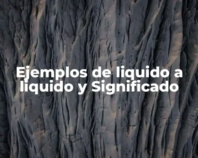 Ejemplos de liquido a liquido y Significado