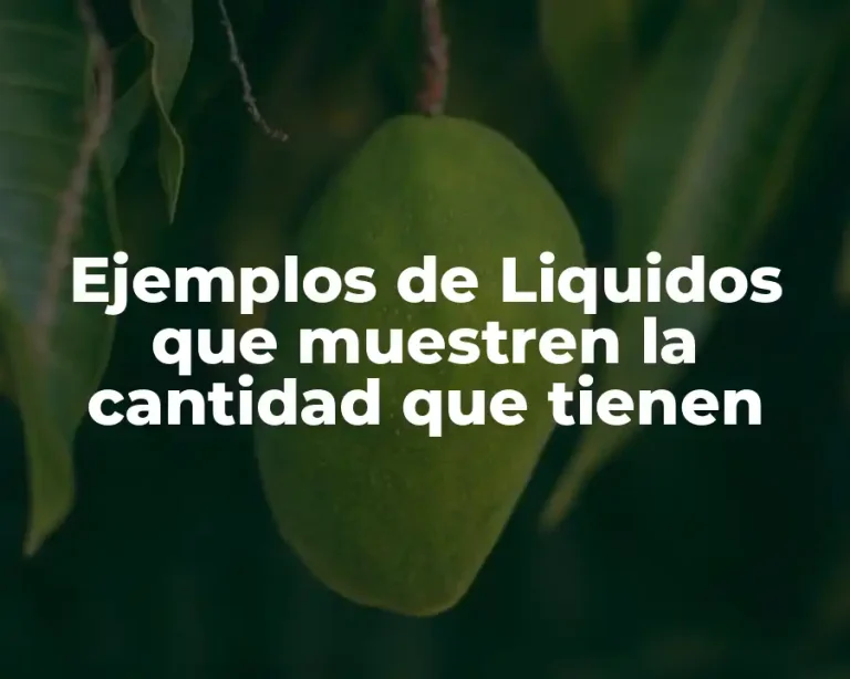 Ejemplos de Liquidos que muestren la cantidad que tienen