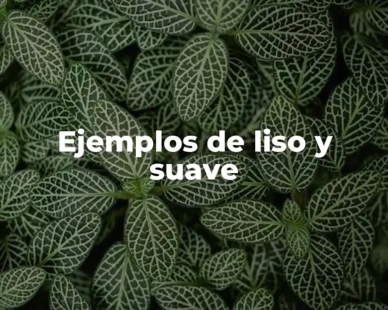 Ejemplos de liso y suave