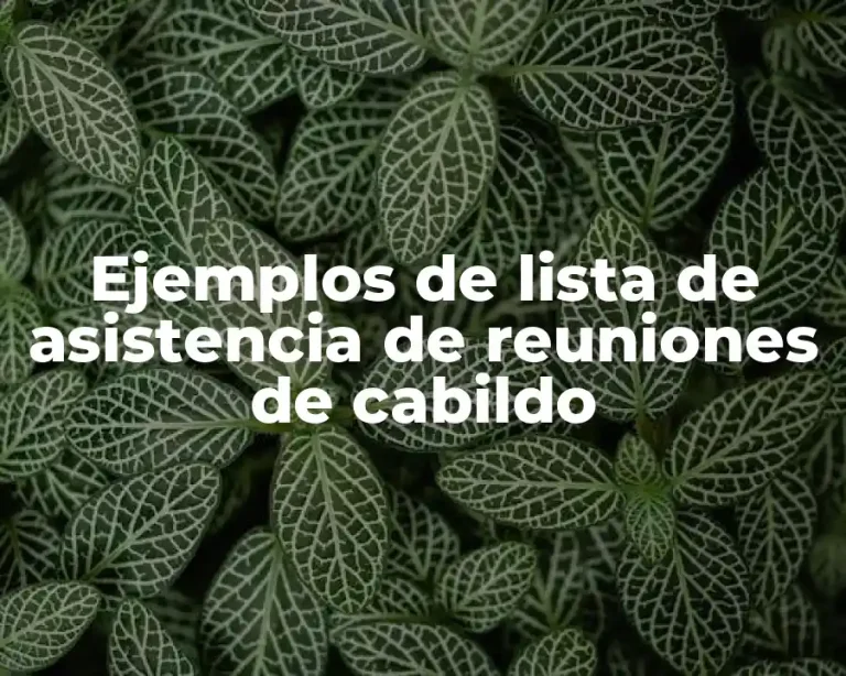 Ejemplos de lista de asistencia de reuniones de cabildo