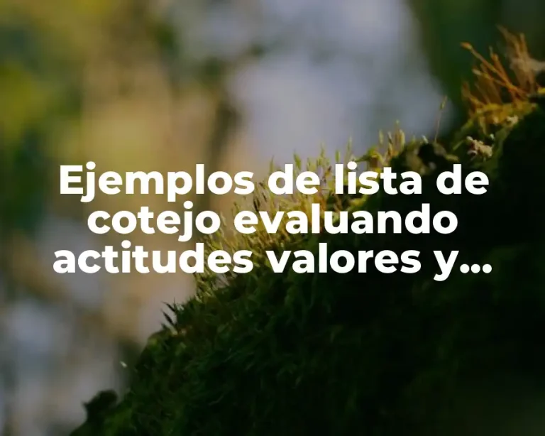 Ejemplos de lista de cotejo evaluando actitudes valores y habilidades