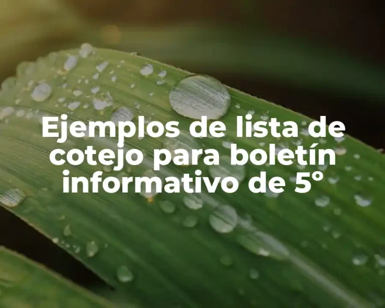 Ejemplos de lista de cotejo para boletín informativo de 5º