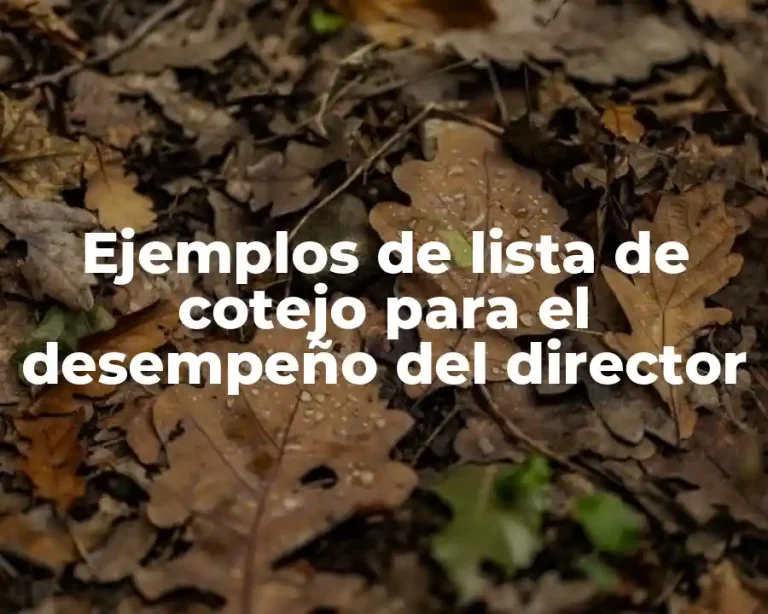 Ejemplos de lista de cotejo para el desempeño del director