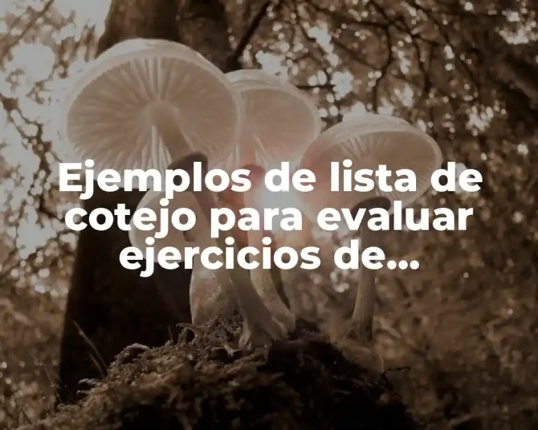Ejemplos de lista de cotejo para evaluar ejercicios de matemáticas