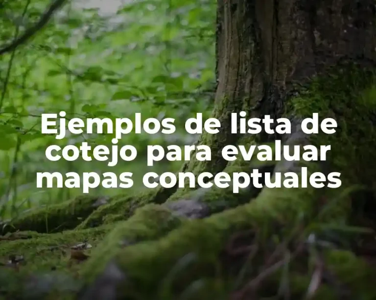 Ejemplos de lista de cotejo para evaluar mapas conceptuales