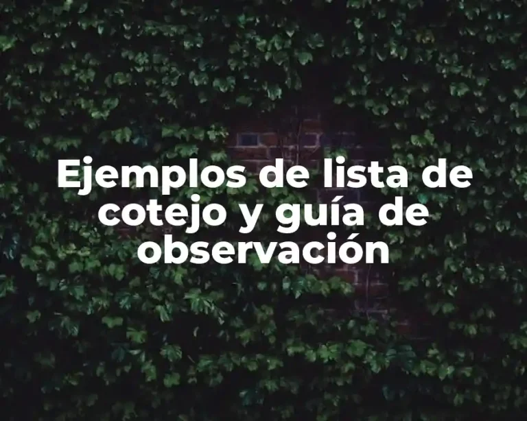 Ejemplos de lista de cotejo y guía de observación