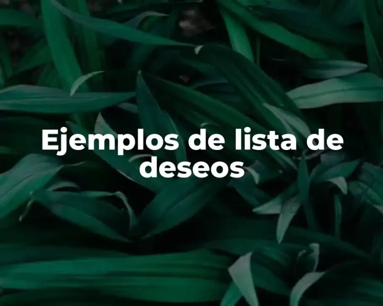Ejemplos de lista de deseos