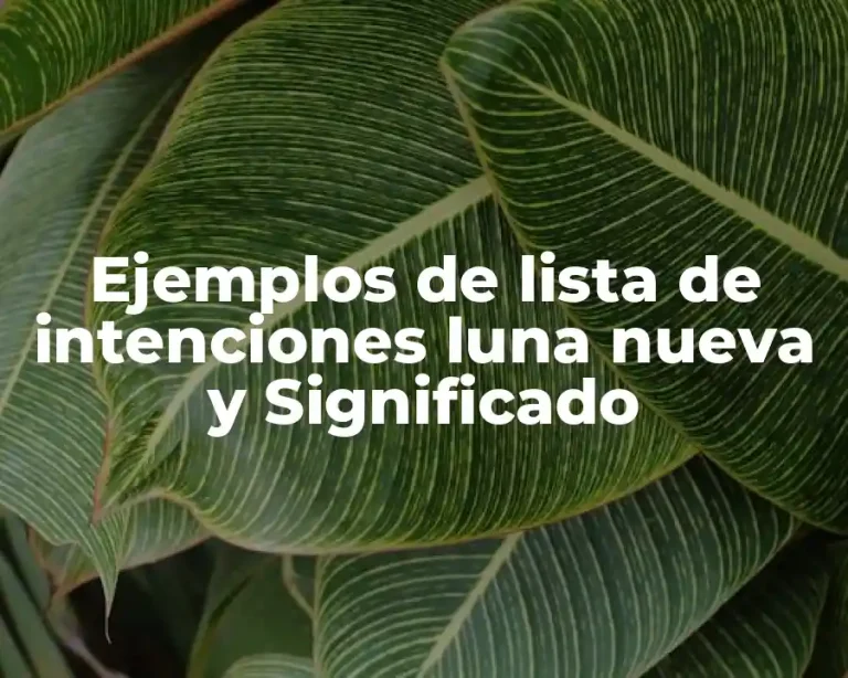 Ejemplos de lista de intenciones luna nueva y Significado