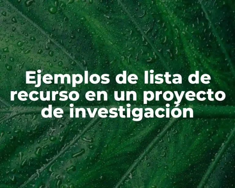 Ejemplos de lista de recurso en un proyecto de investigación