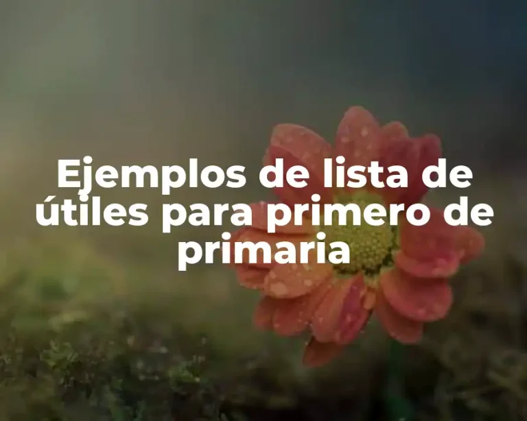 Ejemplos de lista de útiles para primero de primaria