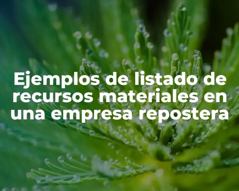 Ejemplos de listado de recursos materiales en una empresa repostera