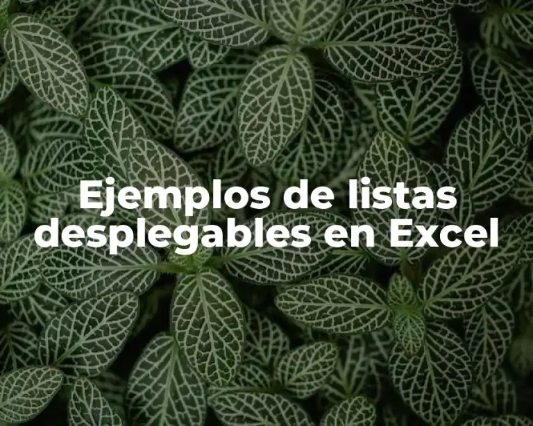 Ejemplos de listas desplegables en Excel