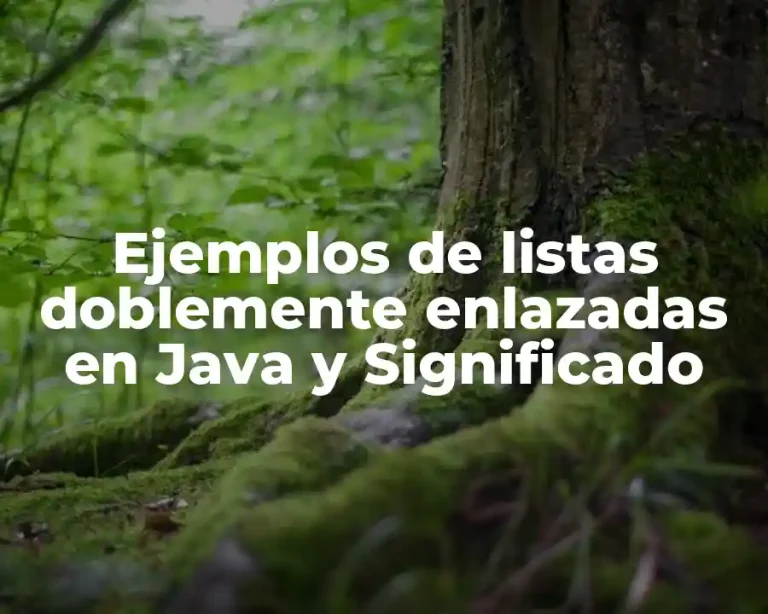 Ejemplos de listas doblemente enlazadas en Java y Significado